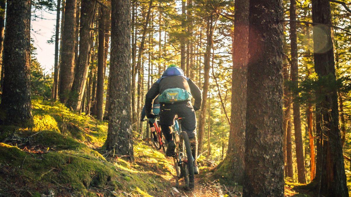 Bremsbelagsatz Verkäufe 27 Bremsbelagsatz Verkäufe -Bremsbelagsatz Verkäufe 12 2