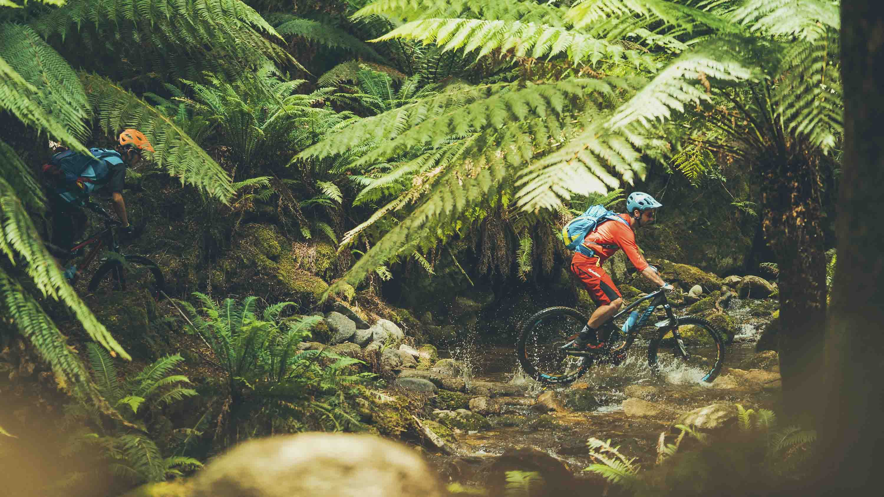 Bremsbelagsatz Verkäufe 29 Bremsbelagsatz Verkäufe -Bremsbelagsatz Verkäufe 12 4