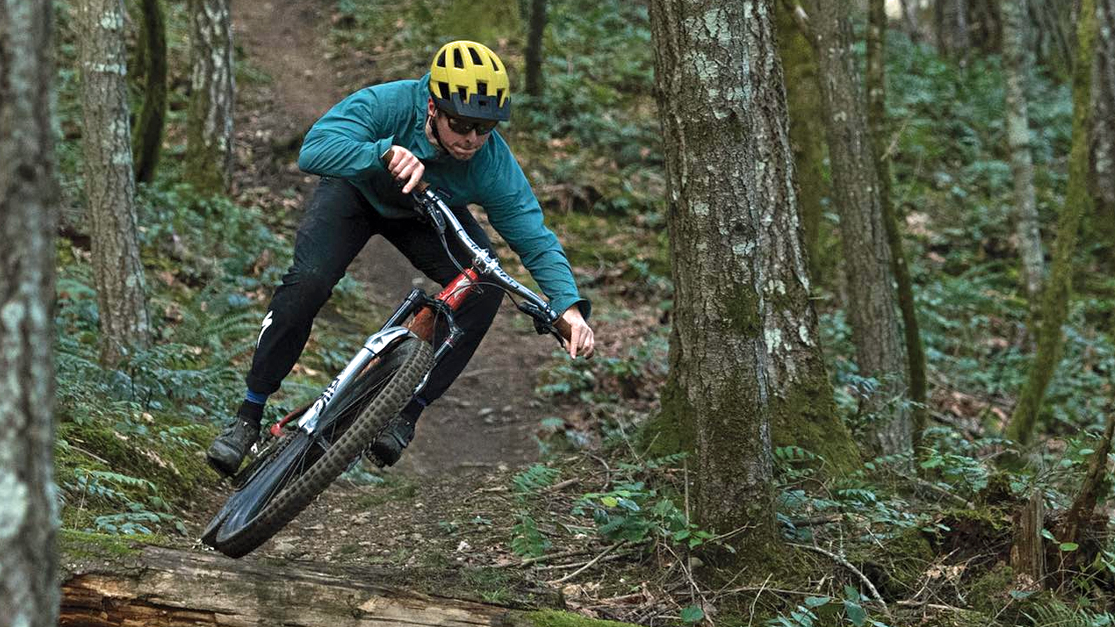 Bremsbelagsatz Verkäufe 3 Bremsbelagsatz Verkäufe -Bremsbelagsatz Verkäufe 12